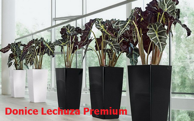 Donice Lechuza Premium