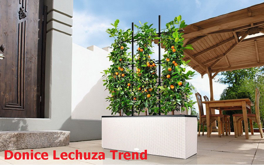 Donice Lechuza serii Trend